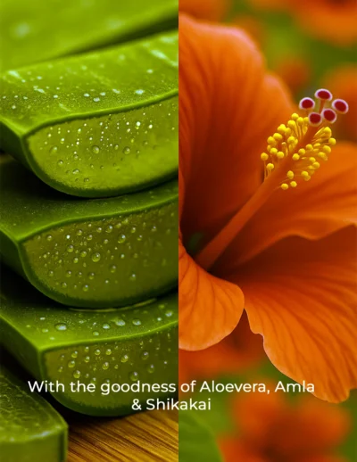 Aloehib shampoo Ingredients