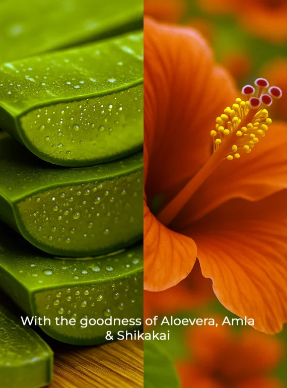 Aloehib shampoo Ingredients