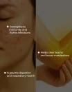 Benefits (17)