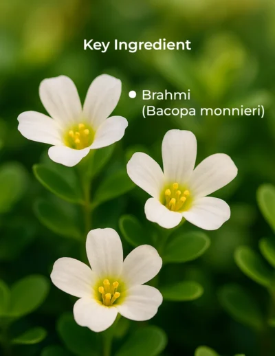 Ingredient