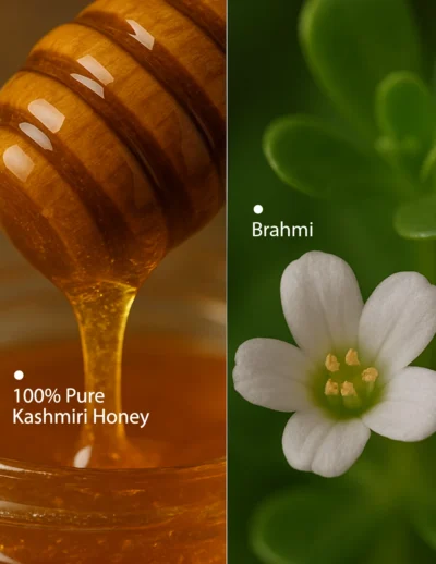 Ingredients (11)
