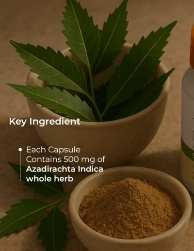 Ingredients (16)