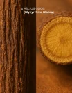 Ingredients (19)