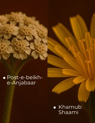 Ingredients (2) (1)