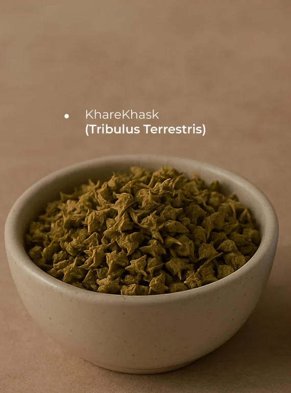Ingredients (20)