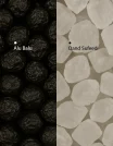 Ingredients (21)