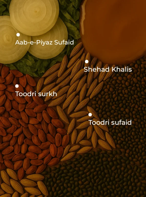 Ingredients (26)