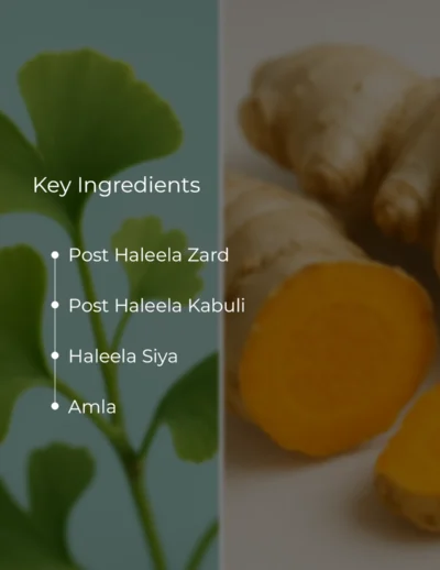 Ingredients (3)
