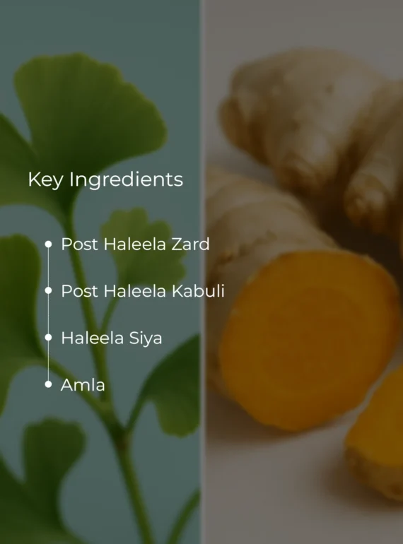 Ingredients (3)