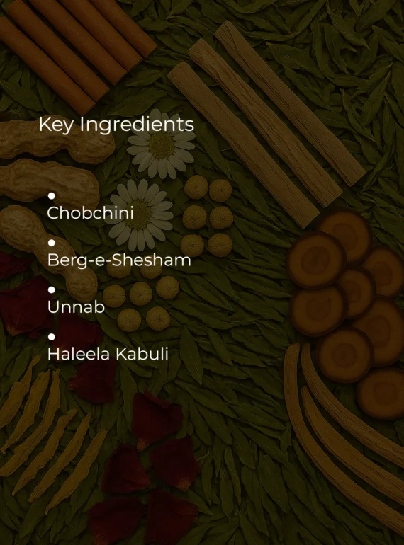 Ingredients (6)