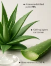 Ingredients (7)