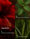 Ingredients (9)