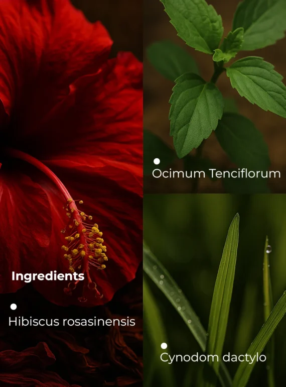 Ingredients (9)