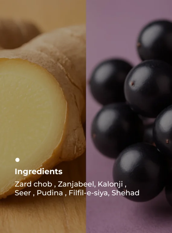 Key Ingredients (1)