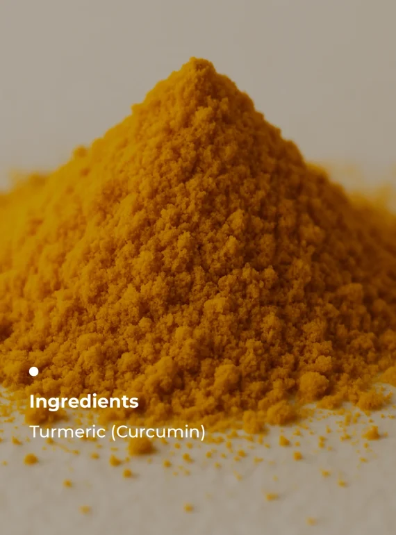 Key Ingredients (2)
