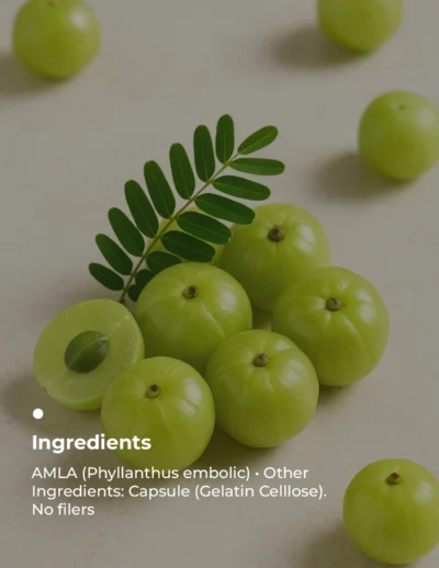 Key Ingredients (3)