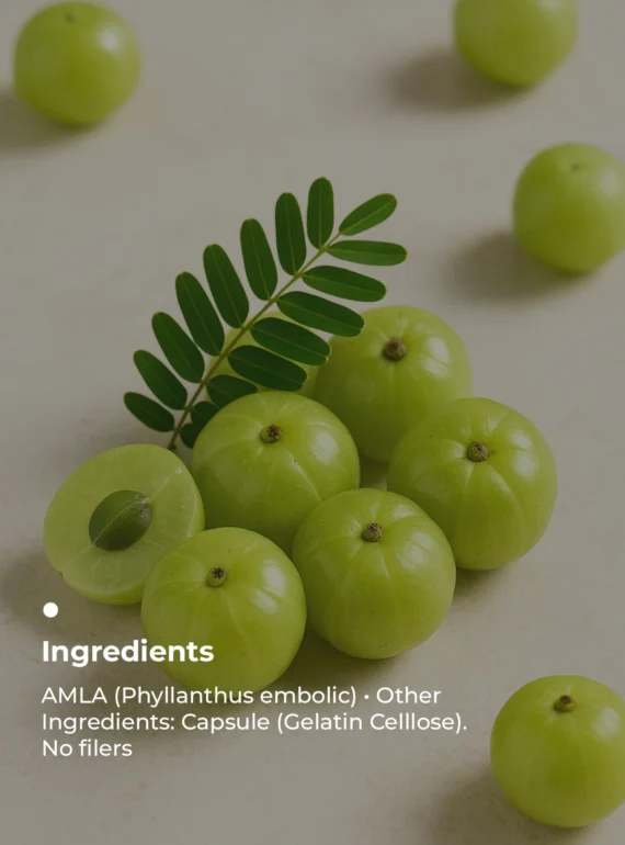 Key Ingredients (3)