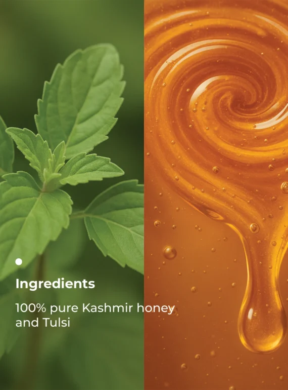Key Ingredients (6)