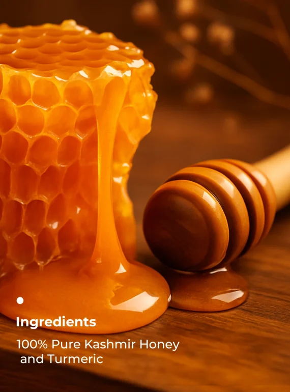 Key Ingredients -Turmeric