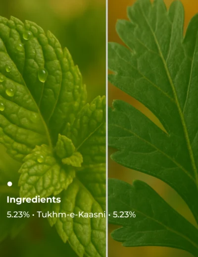 Key Ingredients(3)
