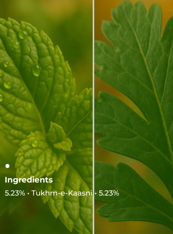 Key Ingredients(3)