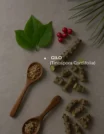 Key ingredients final