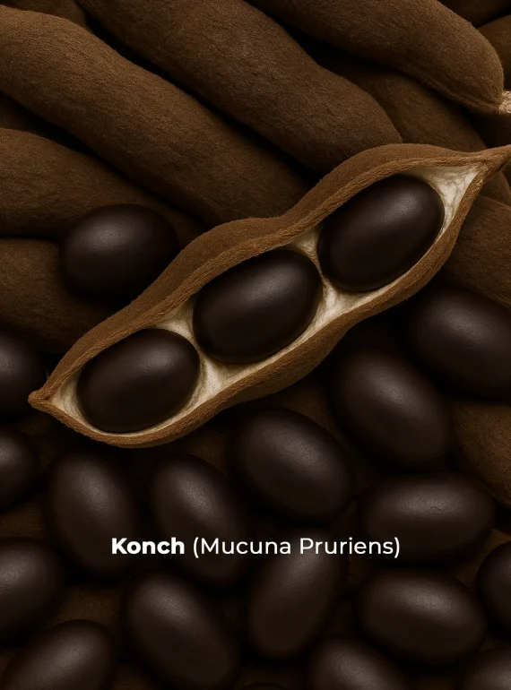 Konch Ingredients