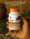 Konch Usage