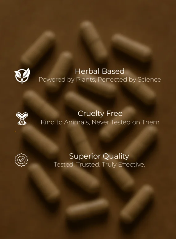 Prod certs (33)