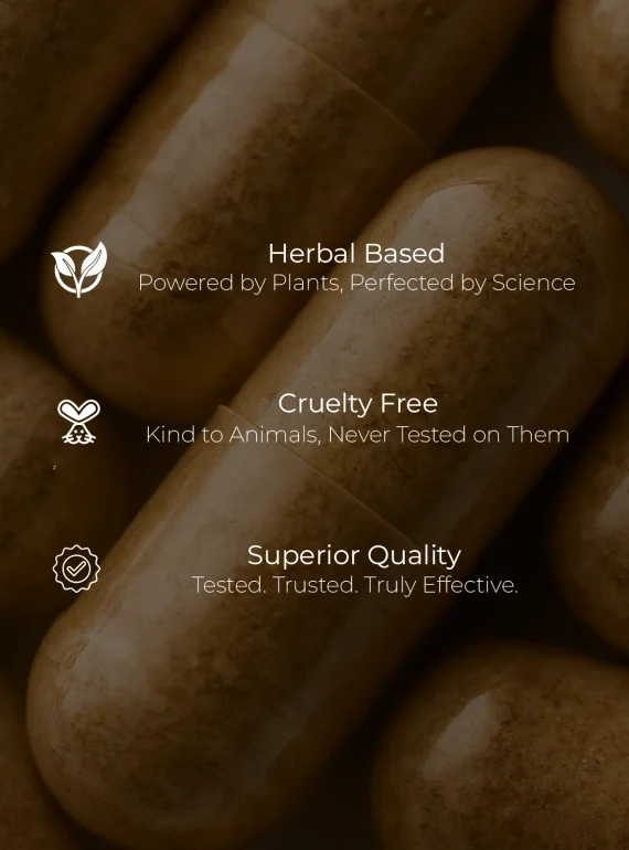 Product certs (3)