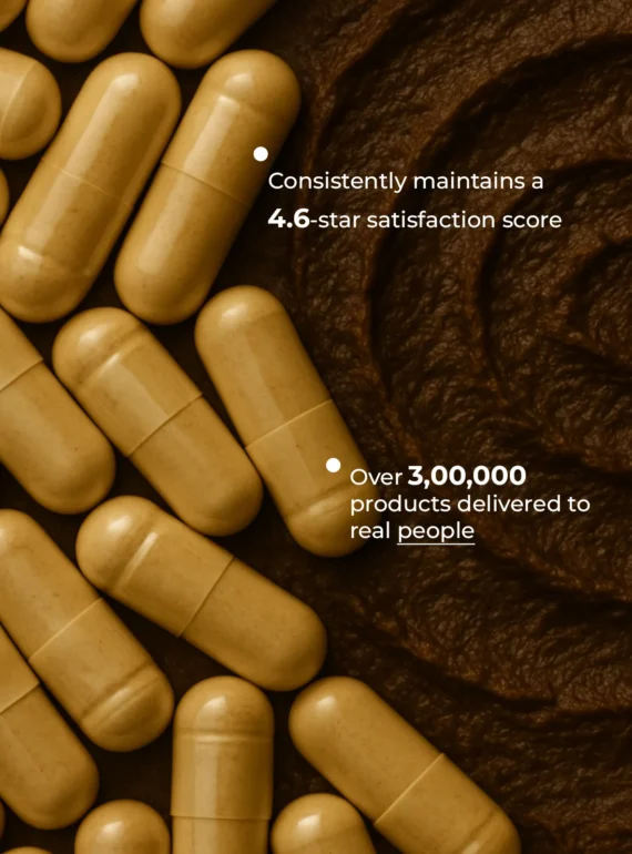 User statistics
