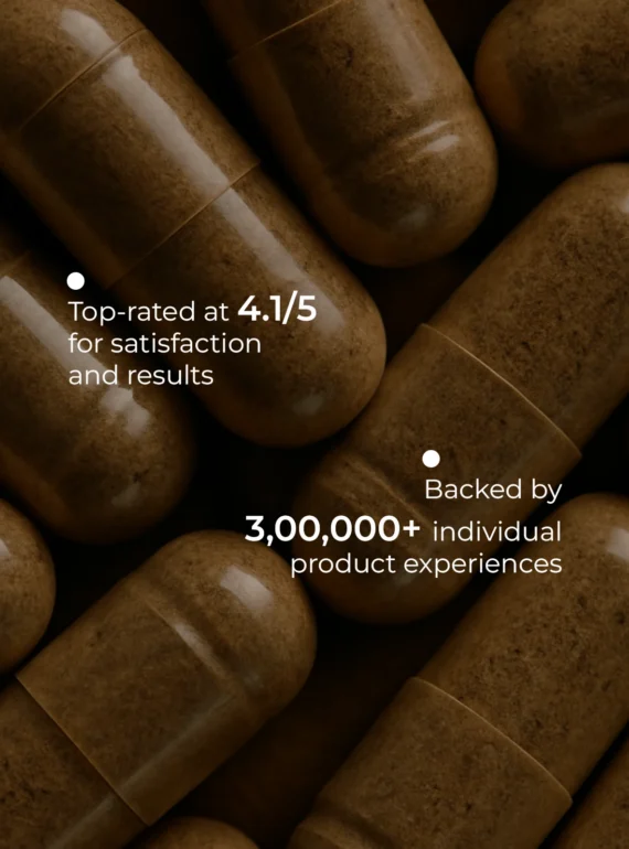 User stats (5)