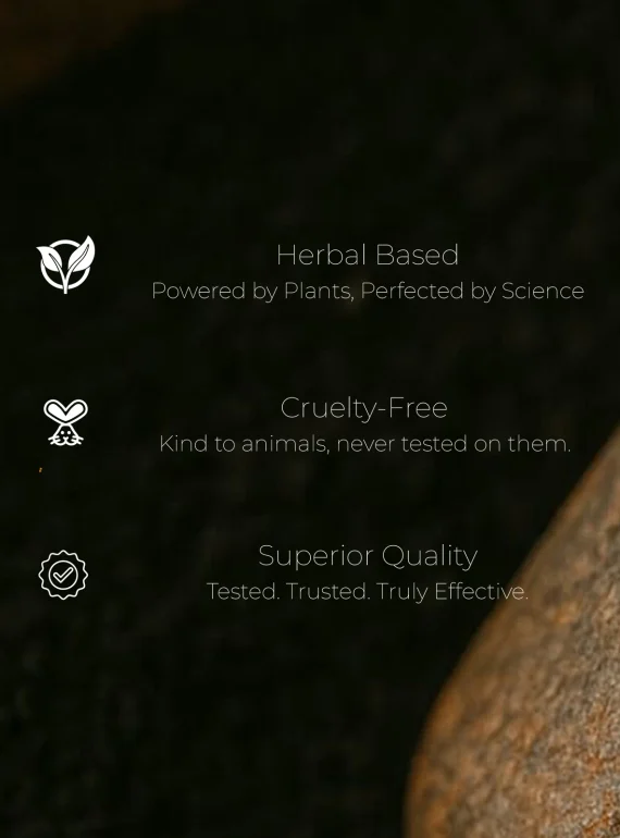 certification (8)