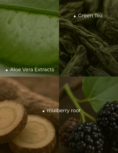 ingredients (12)