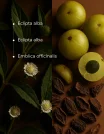 ingredients (8)