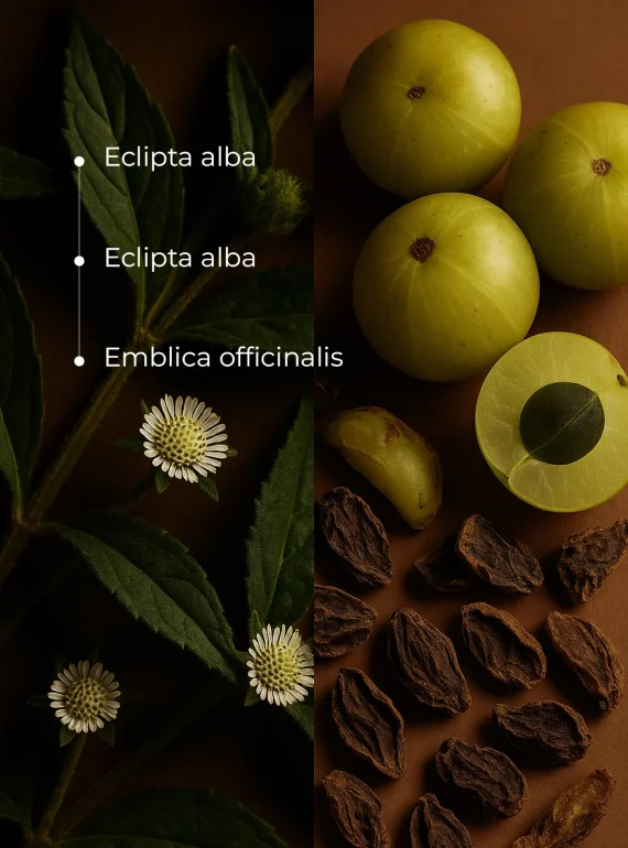 ingredients (8)