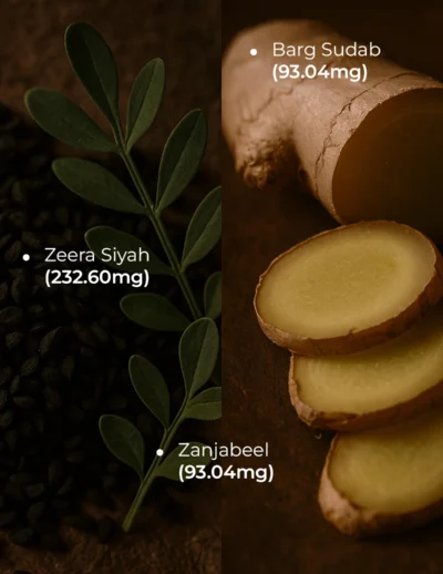 ingredients final (4)