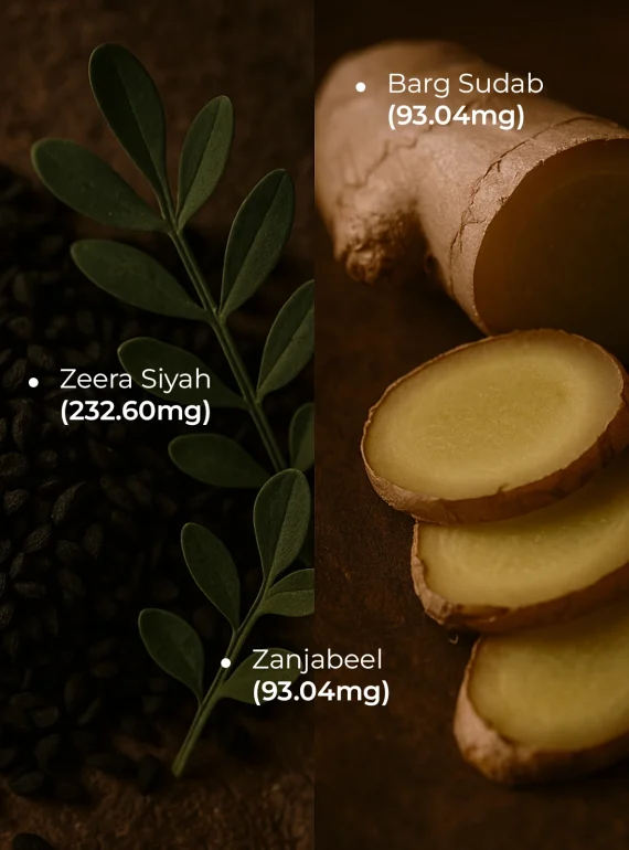 ingredients final (4)