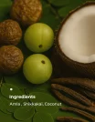 key Ingredients Amla