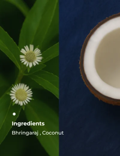 key Ingredients_