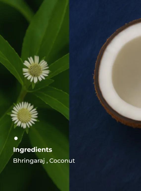 key Ingredients_