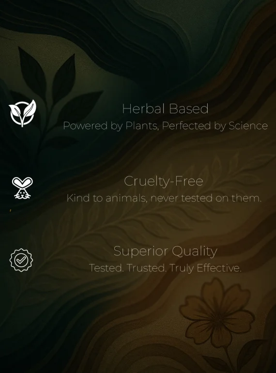 product cert (3)