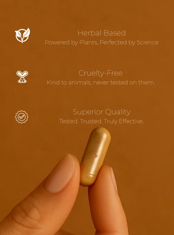 product cert (4)